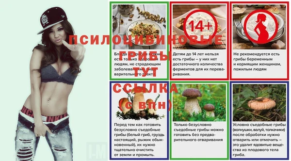 ГАЛЛЮЦИНОГЕННЫЕ ГРИБЫ Абдулино